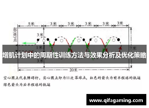 增肌计划中的周期性训练方法与效果分析及优化策略